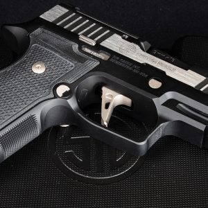 Buy P320 AXG Equinox