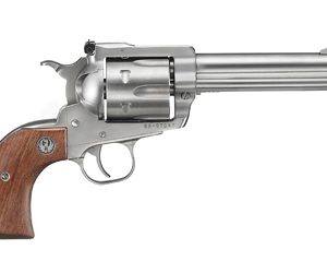 Ruger Super Blackhawk .44 Mag 5.5in Satin Stainless 6rd